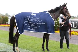Verry Elleegant (NZ) Claimed the 2018 G3 NZB Ethereal Stakes at Flemington. 